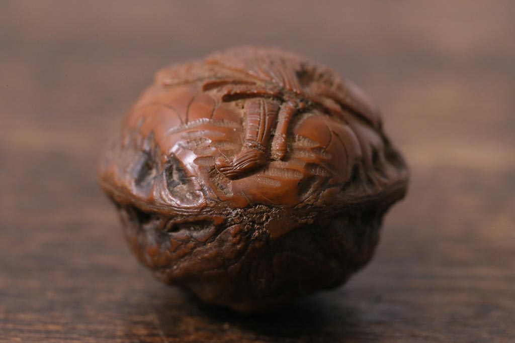 アンティーク雑貨　明治大正　古い根付3点(鹿角、クルミ彫刻)(R-040501)