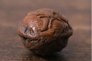 アンティーク雑貨　明治大正　古い根付3点(鹿角、クルミ彫刻)(R-040501)