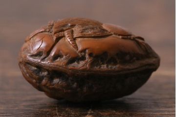 アンティーク雑貨　明治大正　古い根付3点(鹿角、クルミ彫刻)(R-040501)