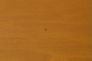 中古　伝統工芸　軽井沢彫り　桜の浮き彫りが上品な座卓(ローテーブル)(R-040872)