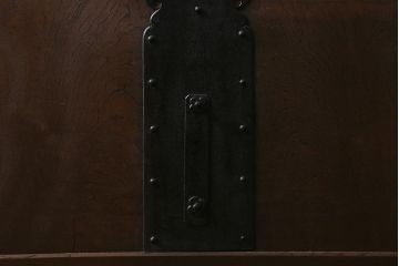 アンティーク建具　明治大正期　総ケヤキ材　亀甲金網　和の風情溢れる格子蔵戸(引き戸、建具、玄関戸)(R-040931)