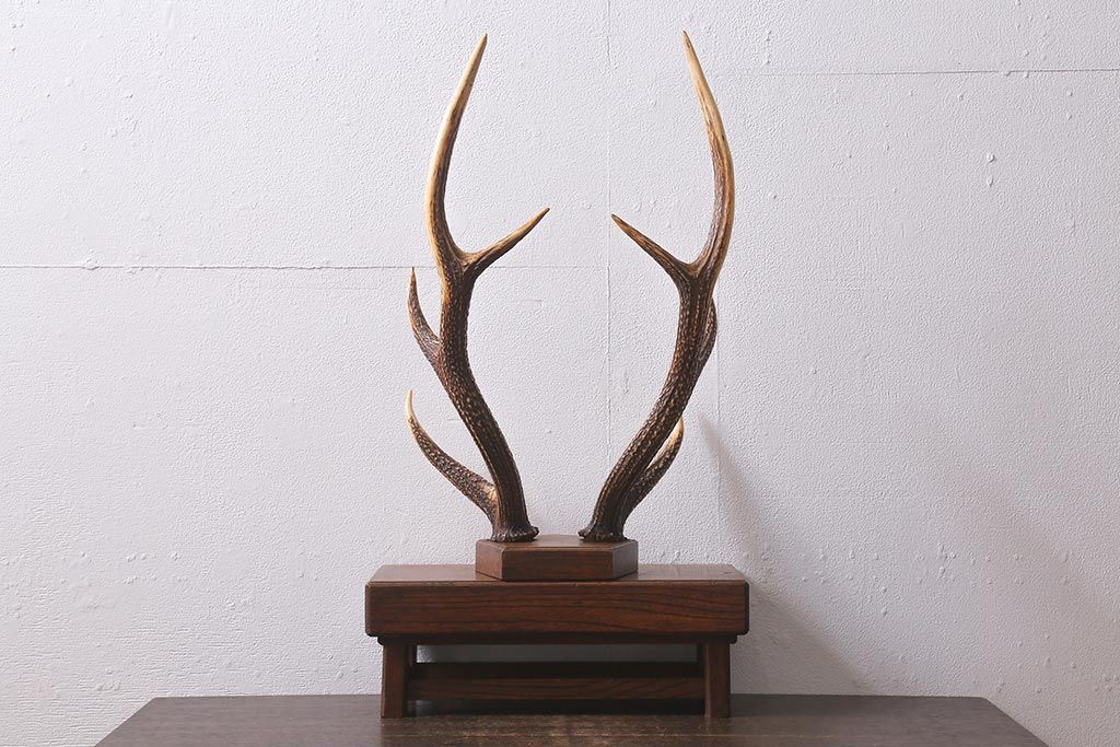 刀掛 日本本州鹿角製 刀掛 日本本州鹿角製