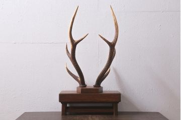 アンティーク雑貨　明治大正期　ケヤキ台　鹿角　刀掛(刀置き、飾り台)(R-041083)