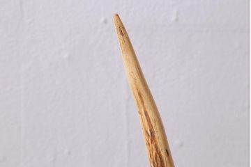 アンティーク雑貨　明治大正期　ケヤキ台　鹿角　刀掛(刀置き、飾り台)(R-041083)