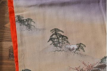 アンティーク着物　江戸縮緬着物(正絹古布、和服)(R-041144)