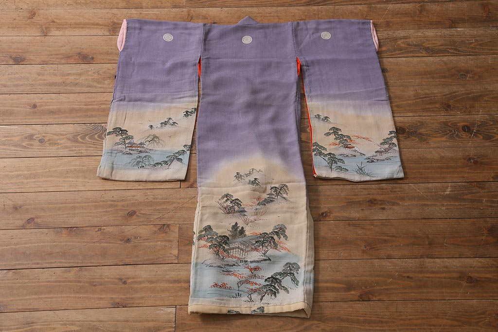 アンティーク着物　江戸縮緬着物(正絹古布、和服)(R-041144)