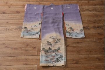 アンティーク着物　江戸縮緬着物(正絹古布、和服)(R-041144)