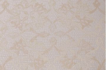 アンティーク家具　フランスアンティーク　マホガニー材　優雅な佇まいが魅力のバルーンバックチェア(椅子、ダイニングチェア)(R-041174)