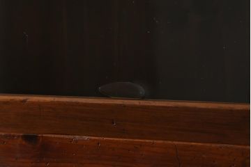 和製アンティーク家具　昭和初期　ヒノキ材　古い木のレトロな重ね戸棚(収納棚、食器棚、キャビネット)(R-041225)