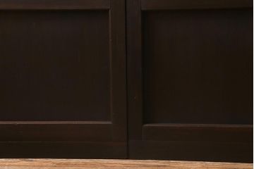アンティーク建具　和製アンティーク　当店オリジナルガラス　昭和初期　整然と並ぶ格子が繊細な万本格子戸2枚セット(引き戸、建具)(R-041229)