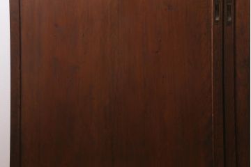 アンティーク建具　和製アンティーク　昭和初期　存在感のある佇まいが魅力の板戸2枚セット(建具、引き戸)(R-041238)