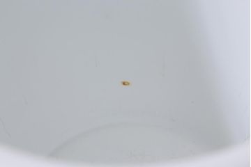 アンティーク雑貨　昭和初期　オールドノリタケ(則武、日陶)　ヤジロベー印　グラデーションがきれいな火鉢(手あぶり、鉢カバー、傘立て)(R-041573)