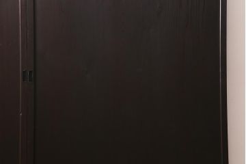 アンティーク建具　和製アンティーク　明治大正期　落ち着いた木色が上品な板戸2枚セット(帯戸、建具)(R-041574)