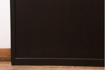 アンティーク建具　和製アンティーク　明治大正期　落ち着いた木色が上品な板戸2枚セット(帯戸、建具)(R-041574)