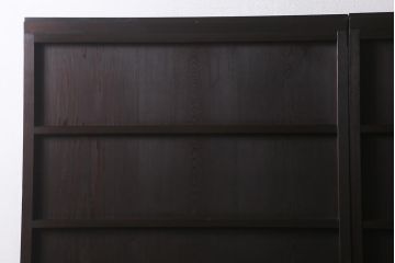 アンティーク建具　和製アンティーク　明治大正期　落ち着いた木色が上品な板戸2枚セット(帯戸、建具)(R-041574)