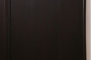 アンティーク建具　和製アンティーク　明治大正期　落ち着いた木色が上品な板戸2枚セット　(R-041575)