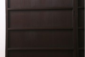 アンティーク建具　和製アンティーク　明治大正期　落ち着いた木色が上品な板戸2枚セット(帯戸、建具)(R-041575)