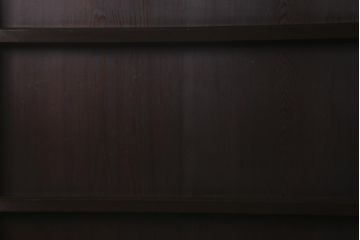 アンティーク建具　和製アンティーク　明治大正期　落ち着いた木色が上品な板戸2枚セット(帯戸、建具)(R-041575)