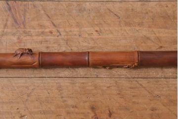 アンティーク雑貨　明治〜大正　時代物　蜻蛉　彫刻ステッキ(とんぼ杖)(R-041597)