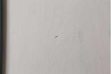 アンティーク建具　明治大正期　杉無垢材　ペイント　ツートンカラーのシックな板戸2枚セット(引き戸、建具)(R-041647)