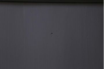 アンティーク建具　明治期　ペイント　ツバメの透かし入り板戸2枚セット(帯戸、引き戸)(R-041715)