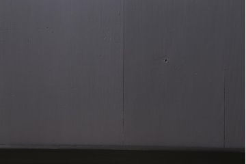 アンティーク建具　明治期　ペイント　ツバメの透かし入り板戸2枚セット(帯戸、引き戸)(R-041715)