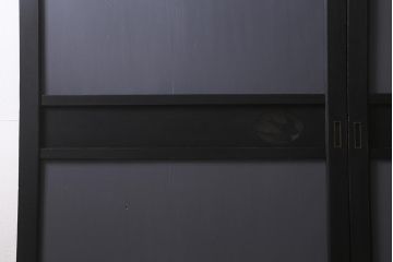 アンティーク建具　明治期　ペイント　ツバメの透かし入り板戸2枚セット(帯戸、引き戸)(R-041715)