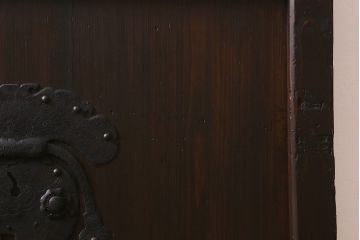 アンティーク建具　明治大正期　ヒノキ材　細い桟が魅力の格子蔵戸(蔵戸、格子戸、引き戸、建具、玄関戸)(R-041743)