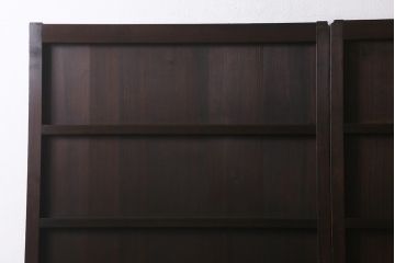 アンティーク建具　和製アンティーク　明治大正期　濃淡のある木の色味が味わい深い板戸2枚セット(帯戸、建具)(R-041946)