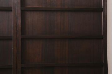 アンティーク建具　和製アンティーク　明治大正期　濃淡のある木の色味が味わい深い板戸2枚セット(帯戸、建具)(R-041946)