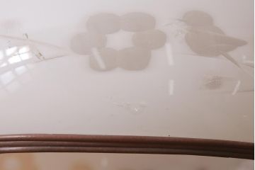 アンティーク照明　昭和初期　梅と小鳥の模様が可愛らしい天井照明(吊り下げ照明、ペンダントライト)(R-042031)