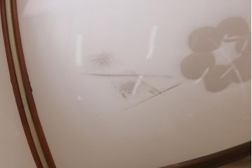 アンティーク照明　昭和初期　梅と小鳥の模様が可愛らしい天井照明(吊り下げ照明、ペンダントライト)(R-042031)