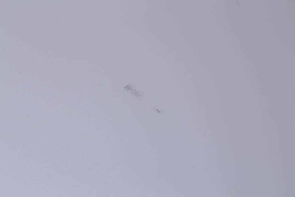 アンティーク照明　昭和初期　品のあるタッセル(飾り房)付きの吊り下げ照明(天井照明、ペンダントライト)(R-042140)