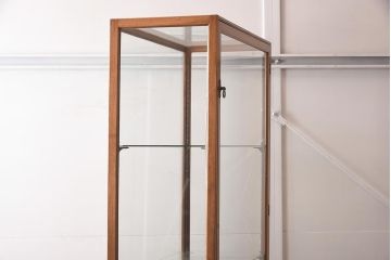 ヴィンテージ家具　イギリスビンテージ　マホガニー材　シンプルな縦型ガラスケース(ショーケース、陳列棚、飾り棚)(R-042158)