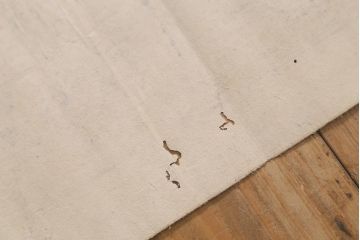 江戸期　嘉永文政　新刀古刀番付　2枚セット(刀剣、武具、大相撲)(R-042185)