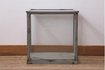 ヴィンテージ雑貨　レトロ　小振り　ラスティペイントを施したガラスケース(ディスプレイケース、ショーケース、ビンテージ)(R-042273)