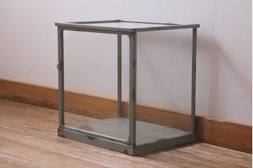 ヴィンテージ雑貨　レトロ　小振り　ラスティペイントを施したガラスケース(ディスプレイケース、ショーケース、ビンテージ)(R-042273)