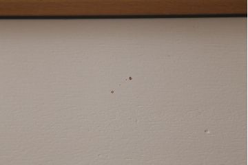 ヴィンテージ家具　北欧　G-PLAN(ジープラン)　サニーオーク&チャイニーズホワイト　個性的でおしゃれな7段チェスト(サイドチェスト、引き出し、ビンテージ)(R-042306)