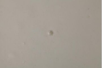 江戸期　伊万里焼　金彩色絵染付八寸皿(窓絵、8寸皿、大皿、古伊万里、和食器)(R-042310)