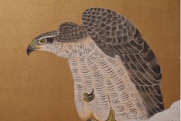 アンティーク家具　在銘　秋草　鷹　豪華な印象を与える衝立(つい立て)(R-042478)
