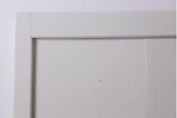 アンティーク建具　明治大正期　ペイント　バイカラーのお洒落な板戸2枚セット(引き戸、建具、帯戸)(R-042654)