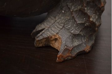 アンティーク雑貨　古い木彫りの蛙　置物　竹根　彫刻　民芸品　中国唐物?(R-042801)