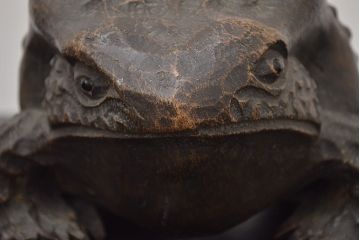 アンティーク雑貨　古い木彫りの蛙　置物　竹根　彫刻　民芸品　中国唐物?(R-042801)