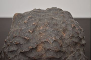 アンティーク雑貨　古い木彫りの蛙　置物　竹根　彫刻　民芸品　中国唐物?(R-042801)