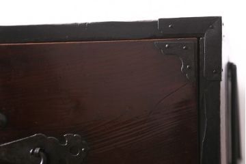アンティーク家具　前面ケヤキ材　鉄脚リメイク　竹に雀　漆塗りがきれいな二本松箪笥ローボード(リビングボード、テレビボード)(R-042839)