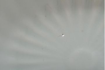 アンティーク雑貨　幕末〜明治期　伊万里焼　白磁　菊皿3枚セット(和食器)(R-043232)