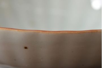 アンティーク雑貨　幕末〜明治期　伊万里焼　白磁　菊皿3枚セット(和食器)(R-043233)