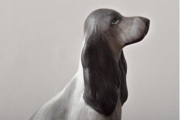 ハンガリー　HOLLOHAZA(ホロハーザ)　バセットハウンド?フィギュリン(犬、磁器、置物)(R-043246)