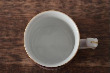 中古　ハンガリー　HOLLOHAZA(ホロハーザ)　APOLLO(アポロ)　デミタスカップ&ソーサー2客セット(洋食器)(R-043332)