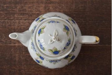 中古　ハンガリー　HOLLOHAZA(ホロハーザ)　Pannonia(パノニア)　ティーポット・カップ&ソーサー6客・クリーマー・シュガーポット　ティーセット(洋食器)(R-043391)